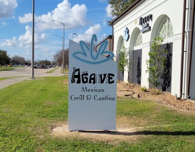Agave 