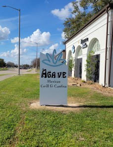 Agave 