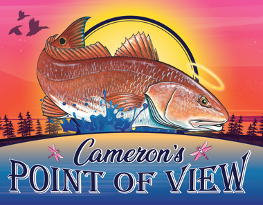 Cameron's Point of View