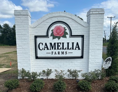 Camellia Farms
