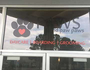 Decals - Paws Window Decal photo