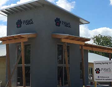 Decals - Paws photo